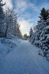 Winterlandschft im Nationalpark Harz