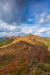 Bieszczady National Park on a sunny autumn day