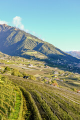 Dorf Tirol, Passeier, Fluss, Passeiertal, Vorderpasseier, Hafling, Meran, Weinberge, Obstbäume, Wanderweg, Herbst, Erntezeit, Südtirol, Italien