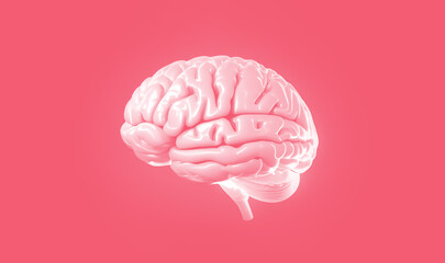 3D Human brain Anatomical Model slide on pink background. Generative AI.