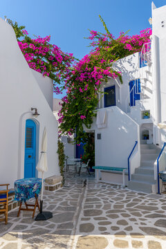 Traditional Cycladitic alley with a narrow street, whitewashed houses and a blooming bougainvillea in Parikia, Paros island, Greece.
