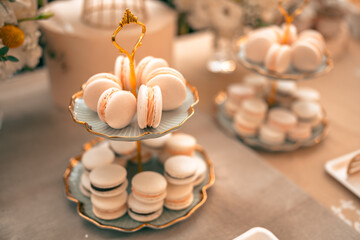 Tea party At The Garden, Beautiful English Afternoon Breakfast Ceremony with Desserts and Snacks, desserts various set, Placed in a cute white dish and the flower petals around. Relax and happy