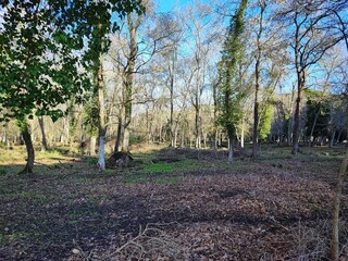 natural park photo collection