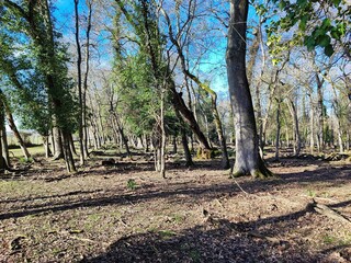 natural park photo collection