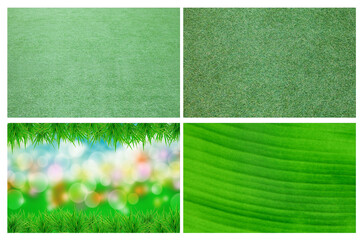 set of green plant leaf background.