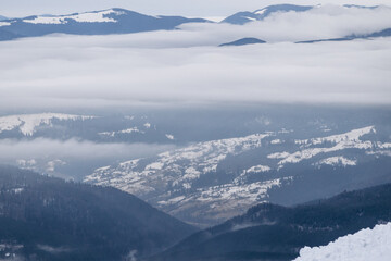 Fototapeta na wymiar Dragobrat, Ukraine mountain landscape with fog and fir trees