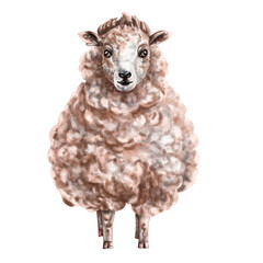 Fluffy milk-colored sheep in full growth. Digital illustration. Isolated objects. From the farmer's collection. For compositions, design, prints, stickers, posters, postcards, children's decoration