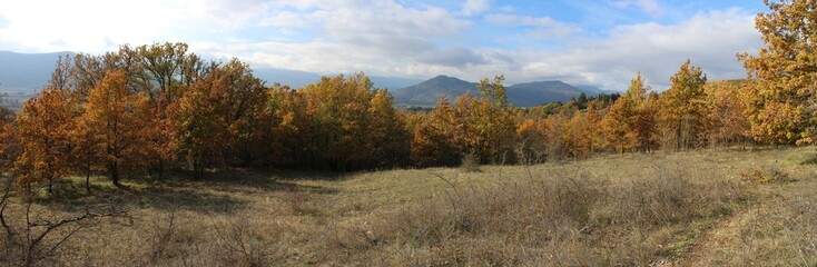 Fototapeta premium Trees in winter season in Abruzzo region, wild grass.