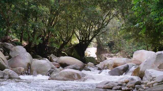 Water Flows Through Rocks in the Pristine Nus River