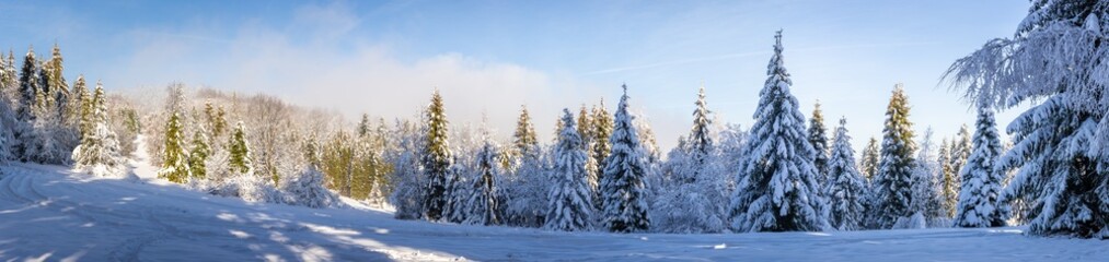 Beskid Mountains in winter, panorama of snowy mountain glade with coniferous forest covered with snow, Hala Slowianka, Poland.