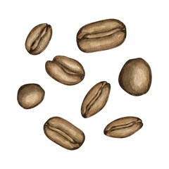 Watercolour coffee beans hand drawn illustrations