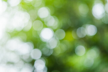 green bokeh background , green bokeh , green bokeh abstract	
