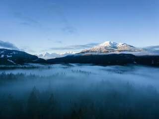 Green Trees in Forest with Fog and Mountains. Winter Sunny Sunrise. Canadian Nature Landscape Background. Near Squamish, British Columbia, Canada.