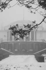 winter in the park, foggy and misty, building, architectural building, branch 