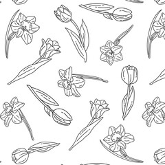 the doodle pattern is seamless with daffodils and tulips on a white background with black lines. Vector background, spring poster