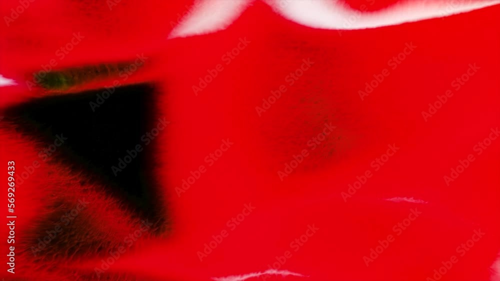 Poster red and pink rays of light. motion. a black space with light flying in different directions made in 