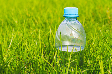 Plastic water bottle in thick green grass in sun.