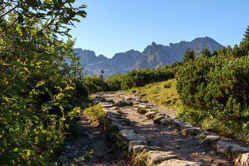 Panorama górska, Hala Gąsienicowa   Tatry Zakopane
pusty szlak  - obrazy, fototapety, plakaty