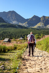 Panorama górska, Hala Gąsienicowa   Tatry Zakopane
wierzbówka kiprzyca, kobieta idąca szlakiem