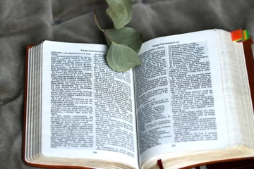 Deurstickers Otwarty tekst Ewangelii z listkami. Biblia i zachęta do czytania, studiowania Słowa Bożego © ICON