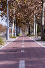 Carril bici