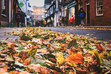 Calle en oto&ntilde;o