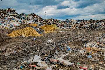 Large landfill near the metropolis in autumn.