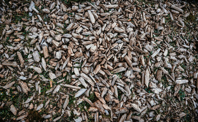 Close-up view of wood chips on the ground. Wood texture background.