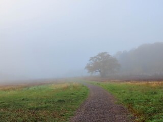 footpath through the countryside on a misty Autumn morning