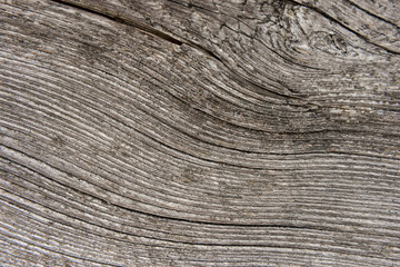 Coarse wood