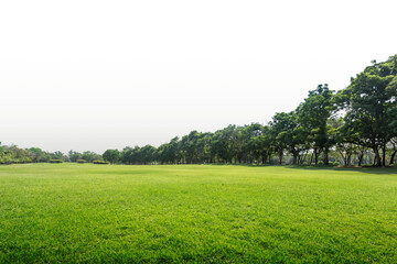 Green park, Transparent