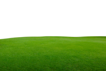 Green park, Transparent