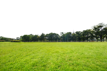 Green park, Transparent