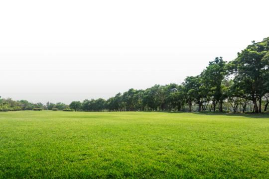 Green park, Transparent