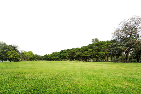 Green park, Transparent