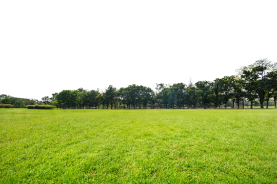 Green park, Transparent