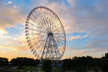 Fototapeta premium 東京都江戸川区 夕暮れの葛西臨海公園 観覧車