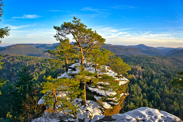 Winter in the Palatinate forest on top of a sandstone formation