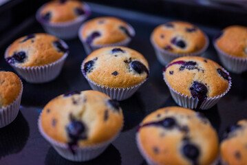 delicious sweet pastry cupcakes with berries