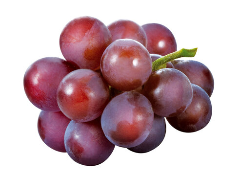 pequeno cacho de uvas roxas em fundo transparente - Delicioso cacho de uva