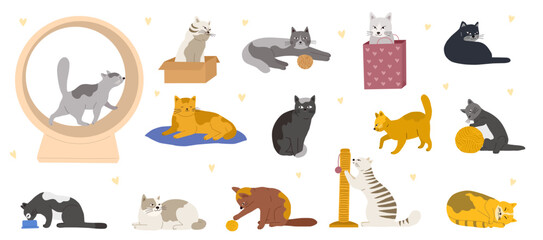 Vector cats. Set characters. Cute cat. Flat cartoon illustrations. Set characters. Cute cat. Vector illustration