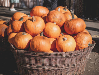 Juicy orange pumpkins in a wooden basket.