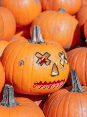 Many Juicy orange pumpkins on display at the market. Halloween pumpkin head.