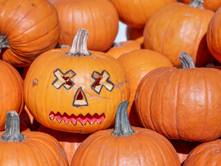 Many Juicy orange pumpkins on display at the market. Halloween pumpkin head.