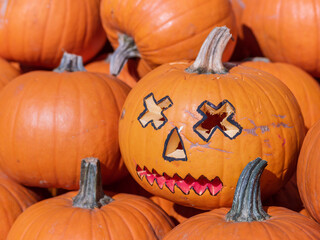 Many Juicy orange pumpkins on display at the market. Halloween pumpkin head.