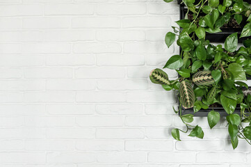 A white brick wall with greenery around the edges