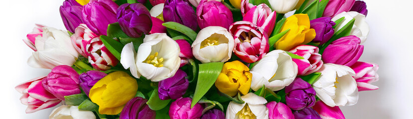 Big bouquet of colorful multi-colored tulips isolated on white background.
