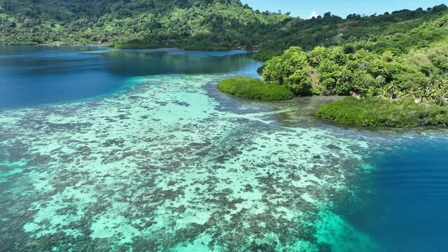 Shallow, healthy coral reefs fringe a lush island in the Solomon Islands. This beautiful, tropical country is home to spectacular marine biodiversity and many historic WWII sites.