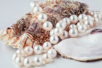 pearl beads on an oyster shell