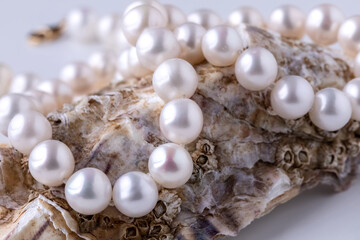 Fototapeta na wymiar pearl beads on an oyster shell